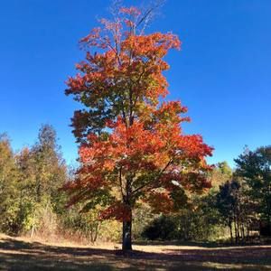 Meet your Posher, Lynn